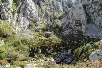 Paisaje con choza de pastor en los Picos de Europa. Asturias, España.