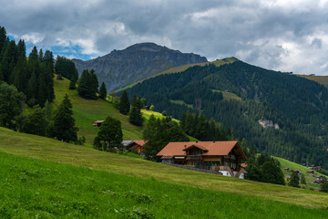 alte Bauernh&auml;user aus Holz im Boden, Adelboden. Streusiedlung mit Wiesen und W&auml;ldern in den schweizer Alpen. Berge im Hintergrund