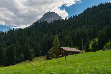 Fototapeta na wymiar alte Bauernhäuser aus Holz im Boden, Adelboden. Streusiedlung mit Wiesen und Wäldern in den schweizer Alpen. Berge im Hintergrund