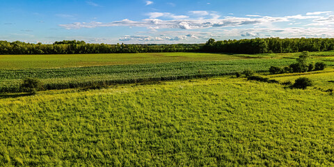 Fototapeta na wymiar Cloudy Blue Sky over farm fields