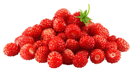 wild Strawberry isolated on white background, clipping path, full depth of field