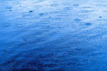 Rain drops in the water. Aqua abstract background. Rain drops on the surface of water in a puddle. Heavy rain drops on asphalt. Rain in the city.