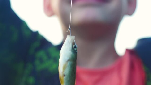 Caucasian peppy joyful boy 7-8 years old shows a freshly caught fish. Child fishing on a summer day.Selective focus, shallow depth of field