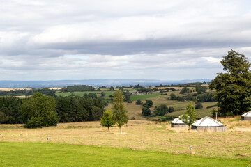 landscape with trees