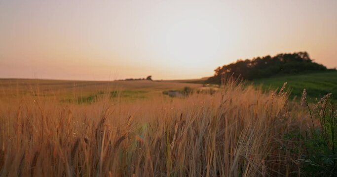 sunrise over the field in slowmotion