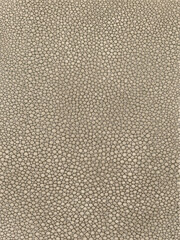 Real stingray fish skin texture high resolution