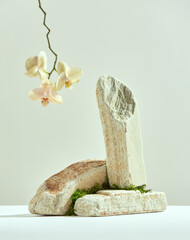 Podium, stone pedestal with orchid blossom flower for spa cosmetics presentation. Placement for...