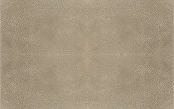 Light brown shagreen stingray fish skin texture high resolution