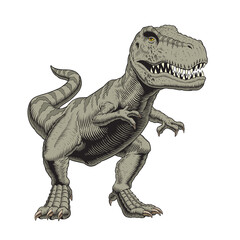 Tyrannosaurus rex or t rex dino standing isolated on white background. Vector illustration.