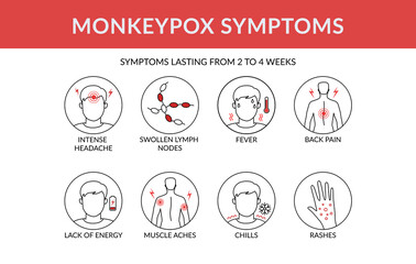 Fototapeta na wymiar Symptoms of the monkey pox virus infographic. This causes skin infections. Linear vector illustration