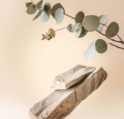 Product display podium with eucalyptus branch in the background