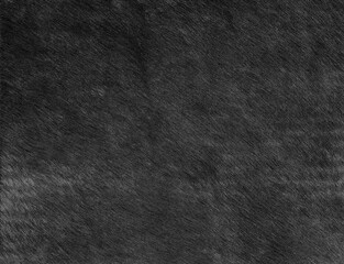 Black furry hair on hide leather texture