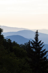 Newfound Gap area in the Great Smoky Mountains