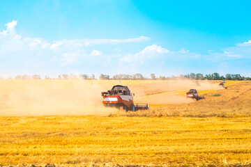 Fototapeta na wymiar Harvesters cut wheat in an agricultural field on a summer day. Grain harvest