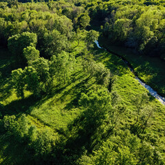 Natural Rural Wisconsin Wilderness in Summer