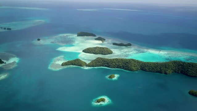 Palau, Rock Islands. Aerial footage of limestone island with Beautiful green nature and turquoise water. Ancient relics of coral reefs. Snorkeling near Koror. Visiting marine lakes in Chelbacheb