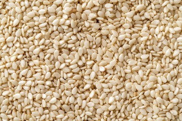 Raw sesame seeds macro background. Texture of organic benne grains closeup. White til for healthy food,  strengthening immunity diet and calcium source. Sesamum indicum for oil production.