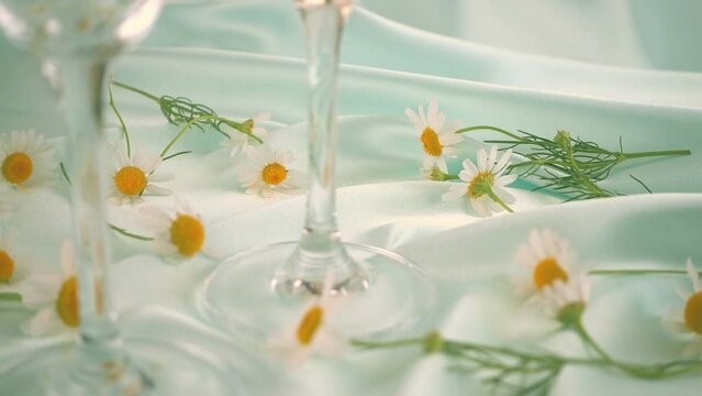 Glasses with sparkling wine and chamomile flowers on a blue background.