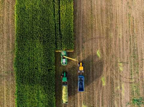 Maize Harvester 03 