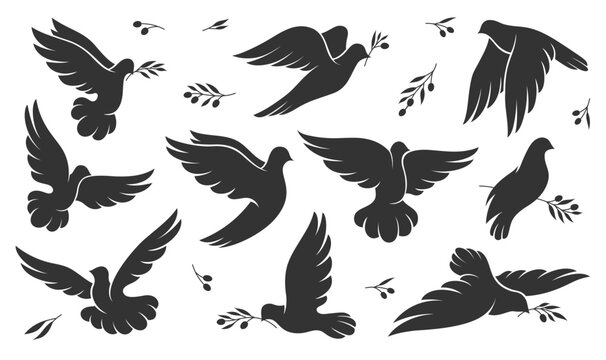 Christmas, peace or wedding dove bird silhouettes, vector pigeon icons. Doves with olive leaf branch, symbol of love, hope and freedom, Easter holy spirit and religion, flying dove silhouettes