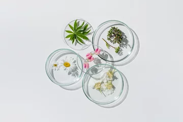 Keuken foto achterwand Schoonheidssalon Petri dishes on white background.Natural medicine, cosmetic research, bioscience, organic skin care products. Top view, flat lay. Scientific laboratory glassware. Research and development Concept