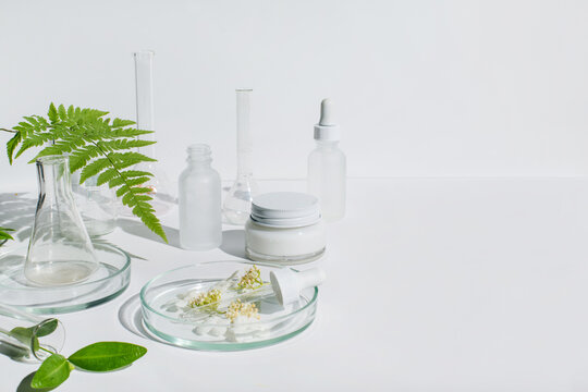 Petri dishes with cosmetic on white background. Copy space. Concept skincare. Dermatology science cosmetic laboratory. Natural medicine,cosmetic research, organic skin care products