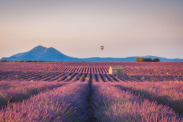 Lavender fields with a stone house and a ballon in the sky at sunrise, summer in Valensole, Provence, France