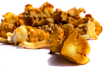 A pile of fresh chanterelles mushrooms isolated in white background, close up
