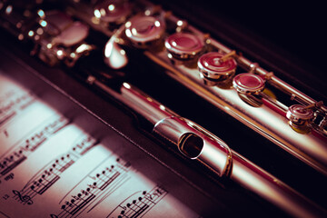 Close up of the flute musical instrument on the music sheet © Nikole Kelly Hill 