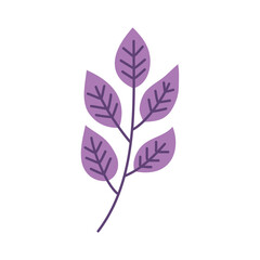 branch with purple leafs