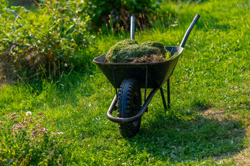 Gardening Tools - Wheelbarrow filled with leaves on green grass lawn in a farm garden, countryside, rural garden concept, care of grass, maintenance
