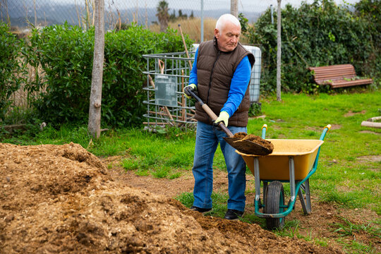 Elderly man with garden shovel at land in garden. High quality photo