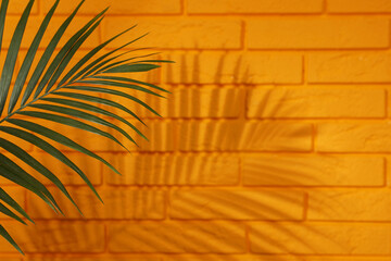 Obraz premium Shadow cast by tropical palm leaf on orange brick wall, space for text