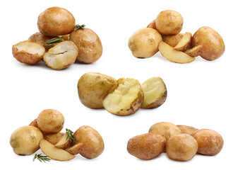 Fototapeta premium Set with delicious hot baked potatoes on white background