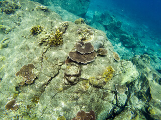 Beautiful underwater view at Lang Tengah Island, Malaysia