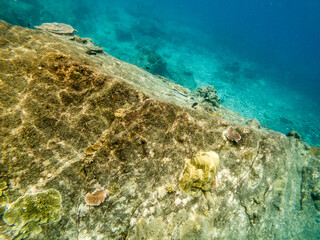 Beautiful underwater view at Lang Tengah Island, Malaysia