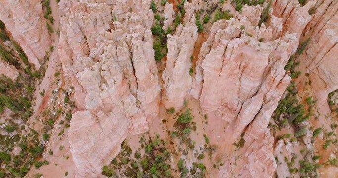 Admirable scenery of outlandish rocks of Bryce canyon in Utah, USA. High mountains and land covered with pine trees. Top view.