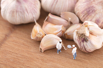 Creative Chef in Miniature and Garlic Condiment