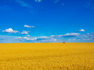 Harvesting barley on the Canadian prairies - obrazy, fototapety, plakaty
