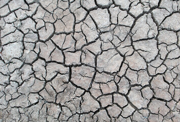 Cracked ground