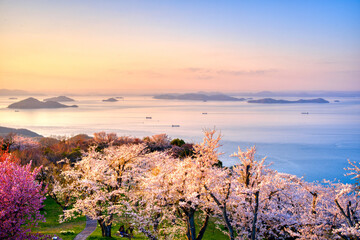 紫雲出山から見た夕暮れ