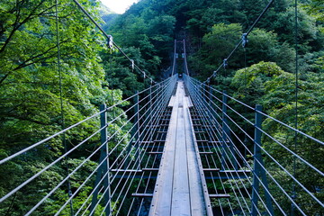 南アルプス　椹島　千枚岳登山口　千枚大吊橋　　日本