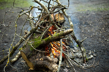 Bonfire in woods. Burning of dry branches.