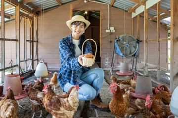 Asian woman farmer is collecting organic eggs from hen house coop which using free range technique