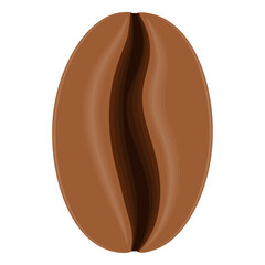 coffee grain seed