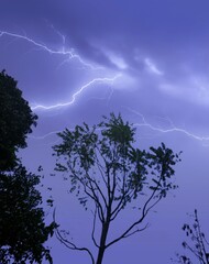 lightning in the sky