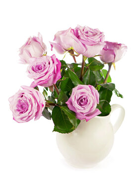 Flowers with clipping path, side view. Beautiful pink roses on stem with leaves isolated on white background. Natur object for design to Valentines Day, mothers day, anniversary
