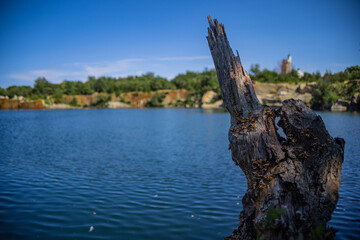 Broken Sharp Tree Trunk In A Lake With Cliffs In The Background Under Clear Blue Sky, 