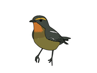 キビタキ　県鳥（福島県）