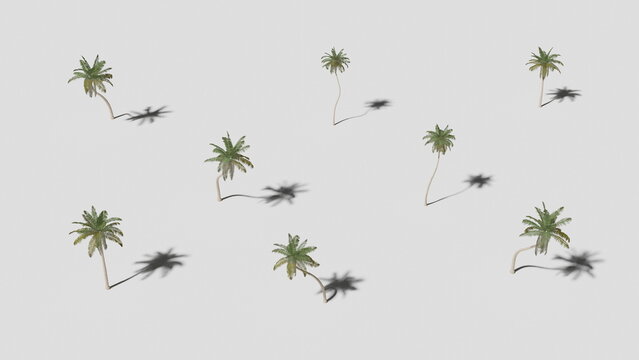 Tropical palm trees minimalist background. Trendy fashion style. Minimal design art. 3d render